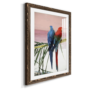 Palm Parrots - Barnwood