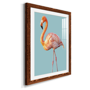 Flamingo - Barnwood