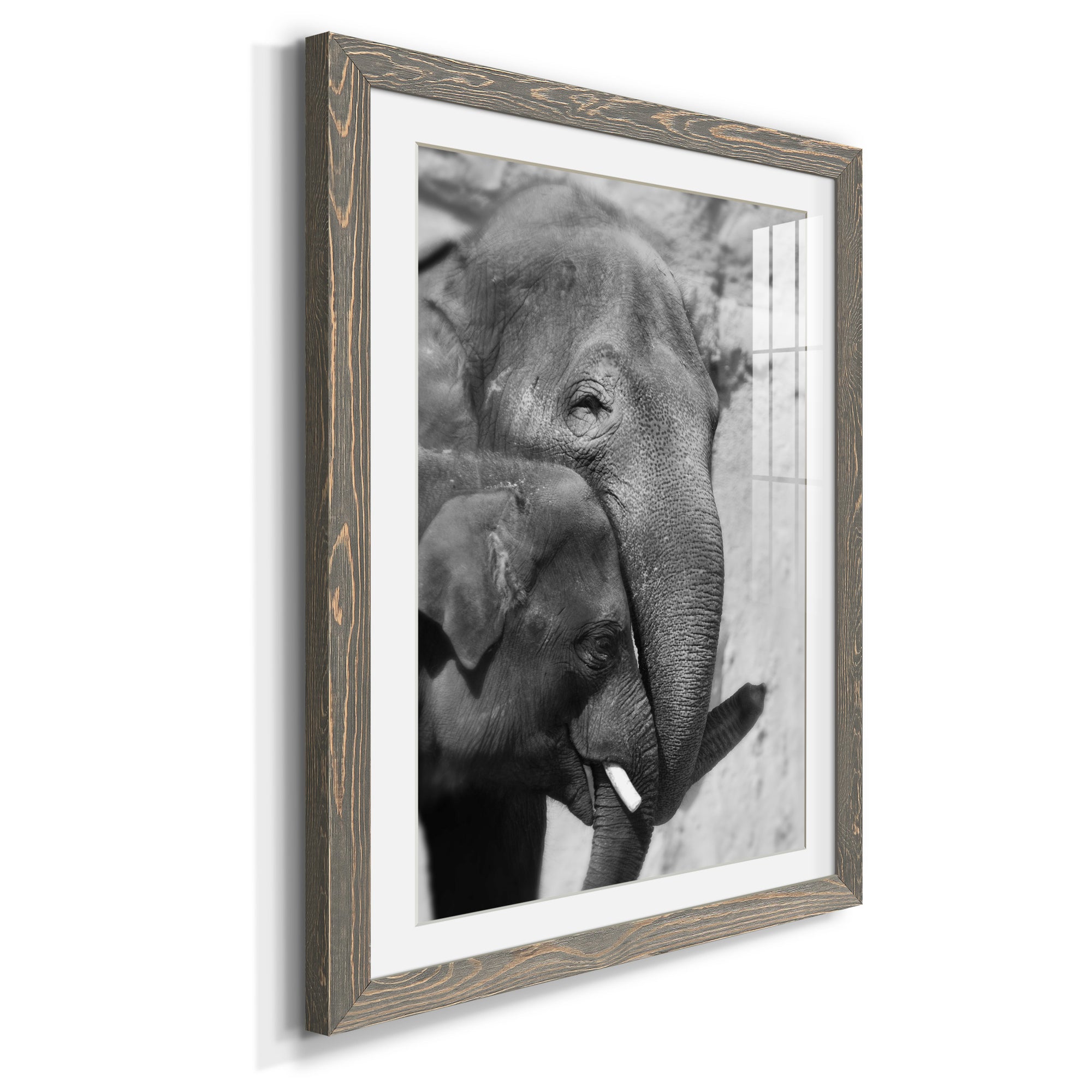Tender Moment - Barnwood Framed Art Print