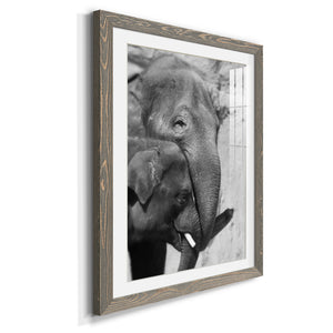 Tender Moment - Barnwood Framed Art Print