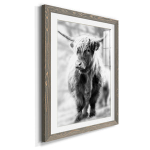 Yorkshire Highland - Premium Framed Print - Distressed Barnwood Frame - Ready to Hang