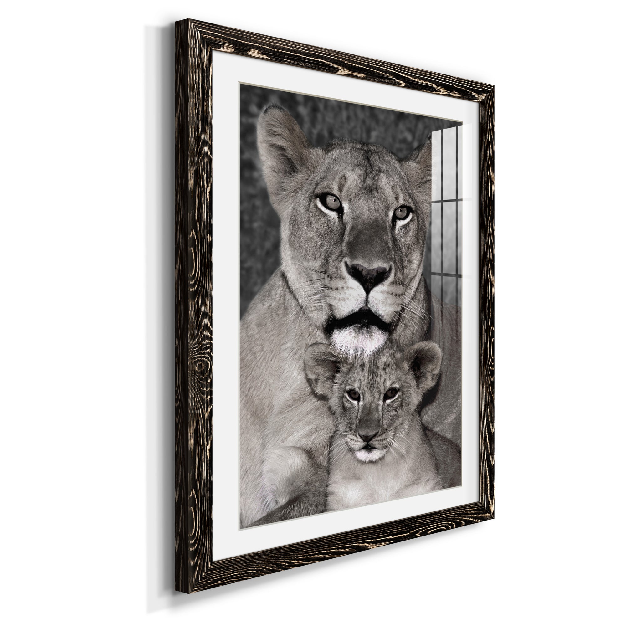 Lioness and Cub - Barnwood Framed Art Print