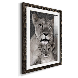 Lioness and Cub - Barnwood Framed Art Print