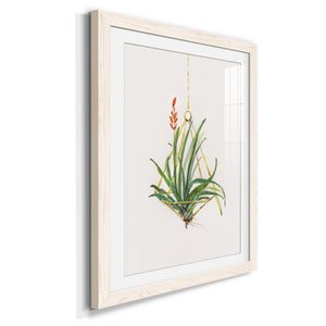 Gardenaire I - Barnwood Framed Art Print