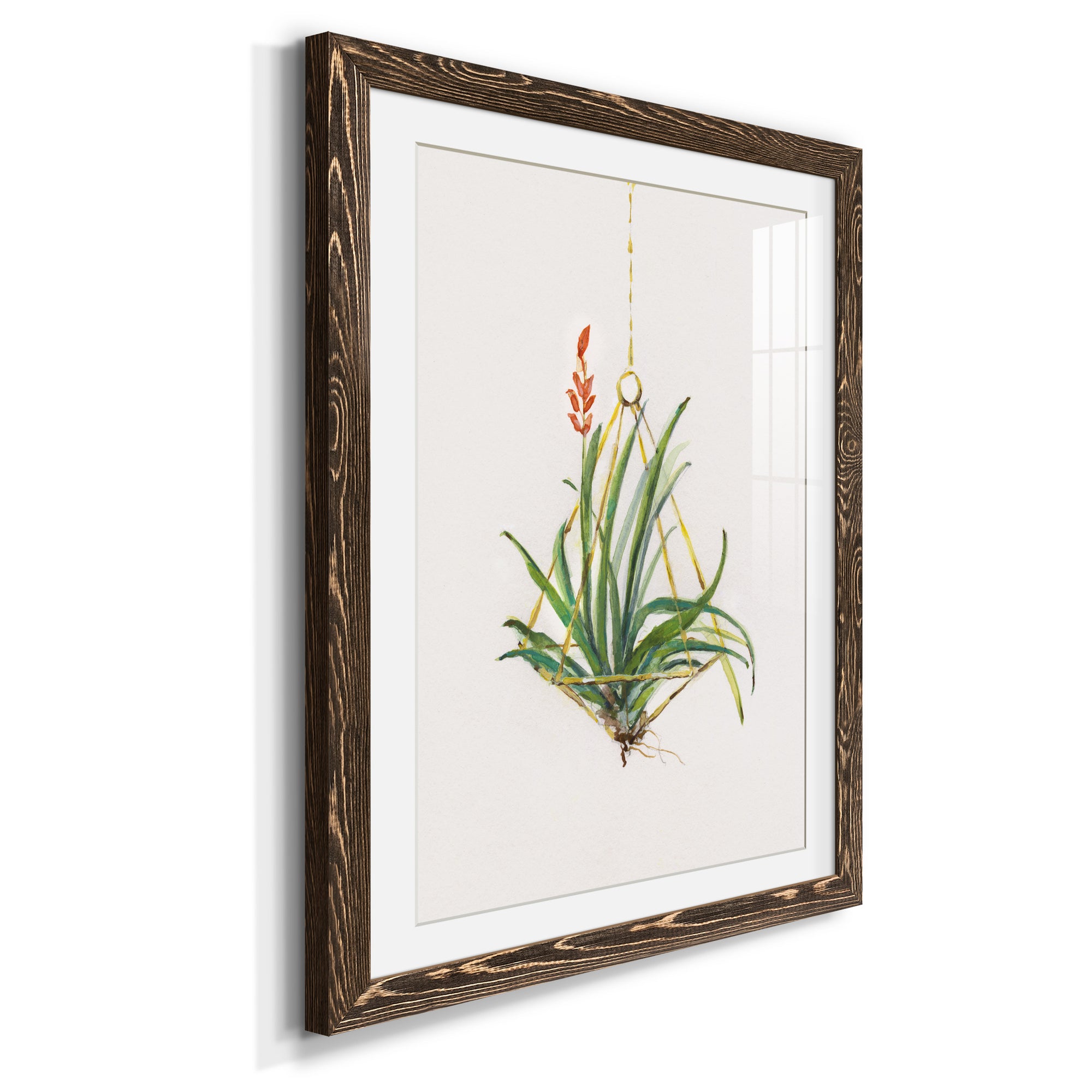 Gardenaire I - Barnwood Framed Art Print