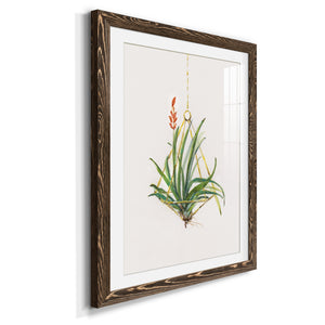 Gardenaire I - Barnwood Framed Art Print