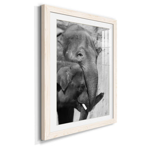 Tender Moment - Barnwood Framed Art Print