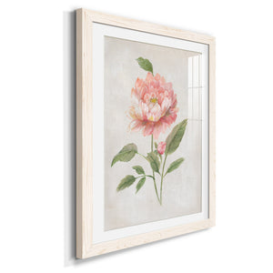 Grandiflora III - Barnwood Framed Art Print