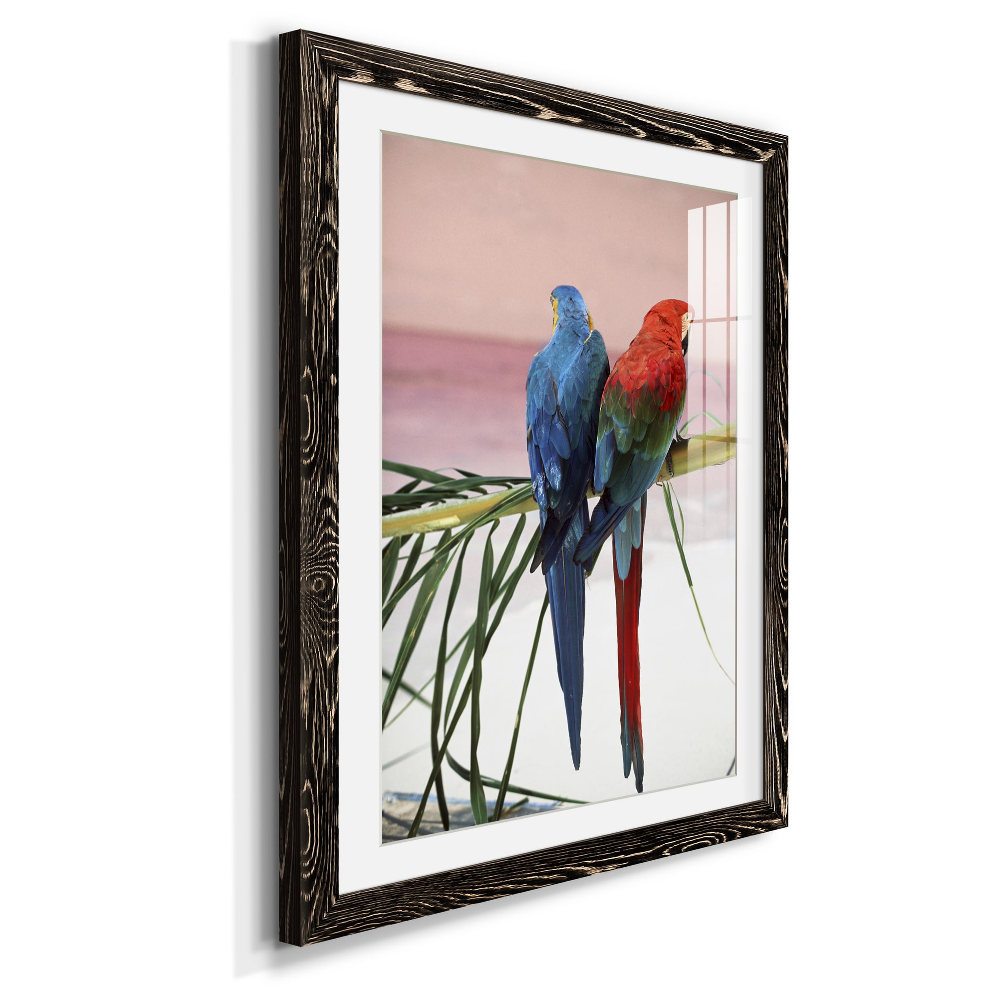 Palm Parrots - Barnwood