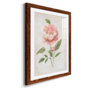 Grandiflora III - Barnwood Framed Art Print