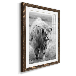 Gretna Green Highland - Barnwood Framed Art Print