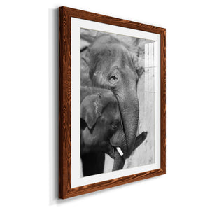 Tender Moment - Barnwood Framed Art Print
