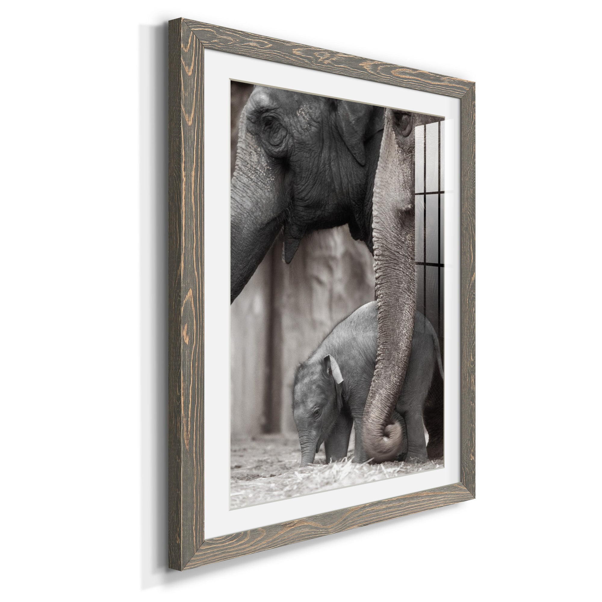 Family Moment - Barnwood Framed Art Print