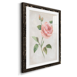 Grandiflora I - Barnwood Framed Art Print