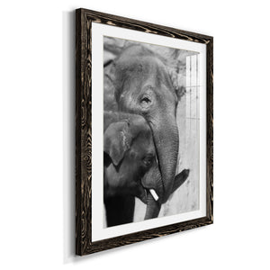 Tender Moment - Barnwood Framed Art Print