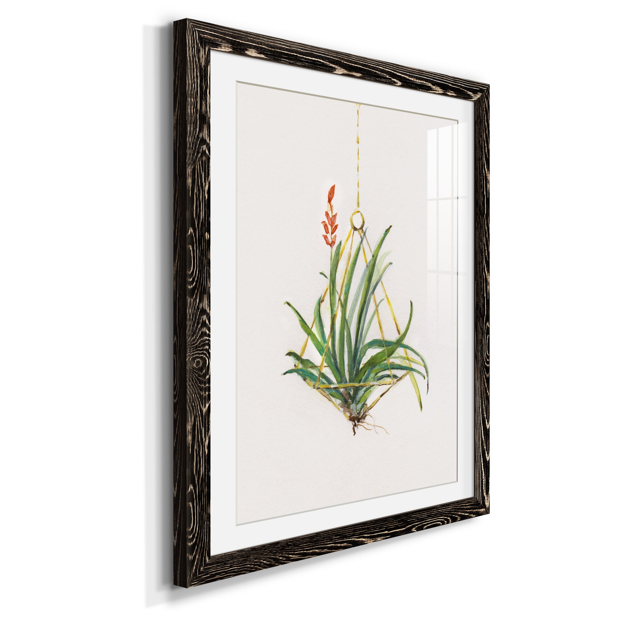 Gardenaire I - Barnwood Framed Art Print
