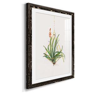 Gardenaire I - Barnwood Framed Art Print