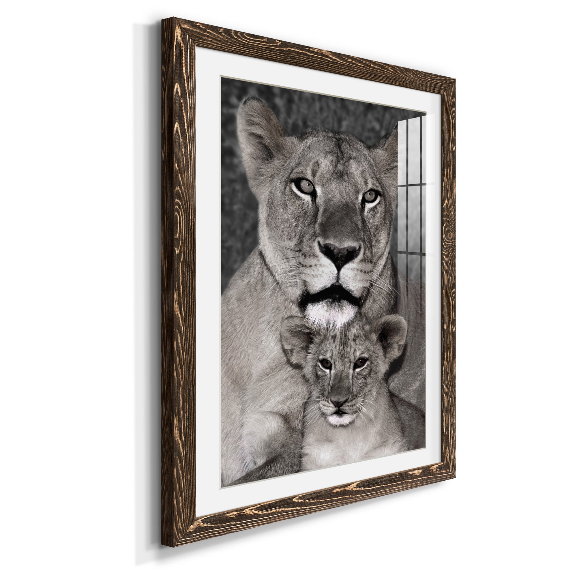 Lioness and Cub - Barnwood Framed Art Print