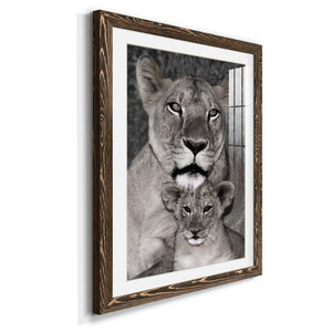 Lioness and Cub - Barnwood Framed Art Print