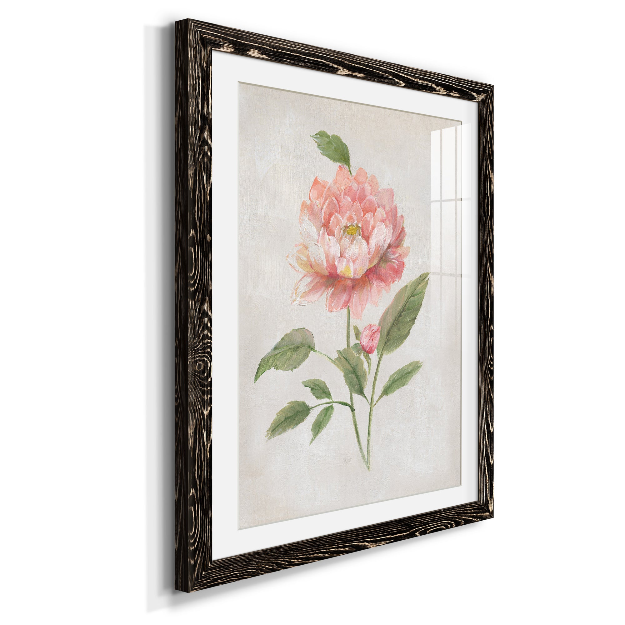 Grandiflora III - Barnwood Framed Art Print