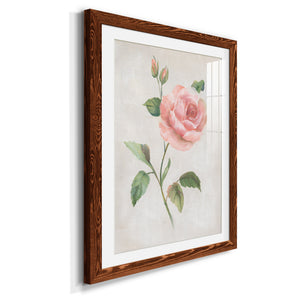 Grandiflora I - Barnwood Framed Art Print