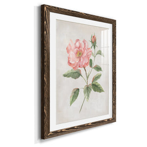 Grandiflora II - Barnwood Framed Art Print
