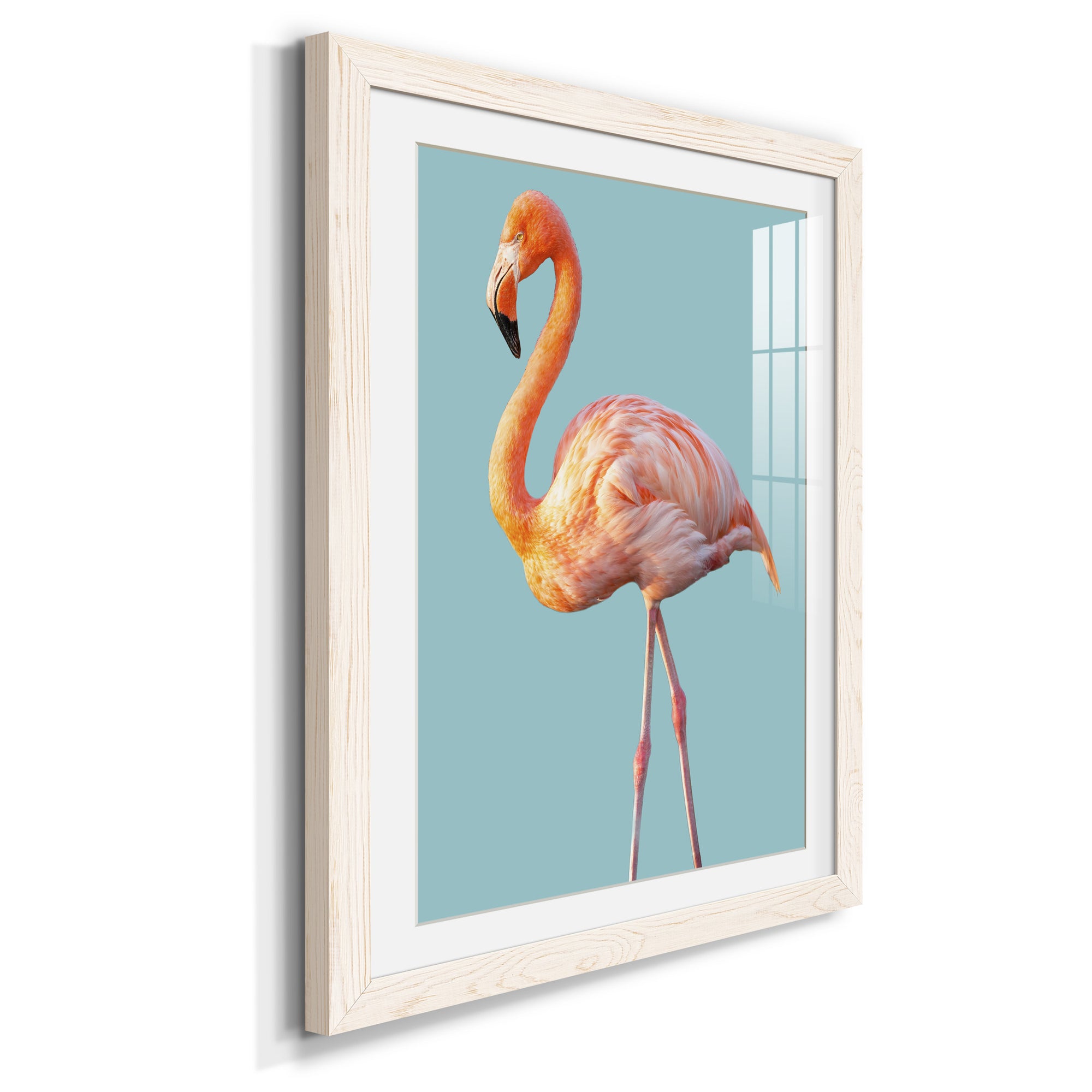 Flamingo - Barnwood