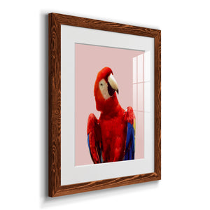 Honduras Wildlife - Barnwood