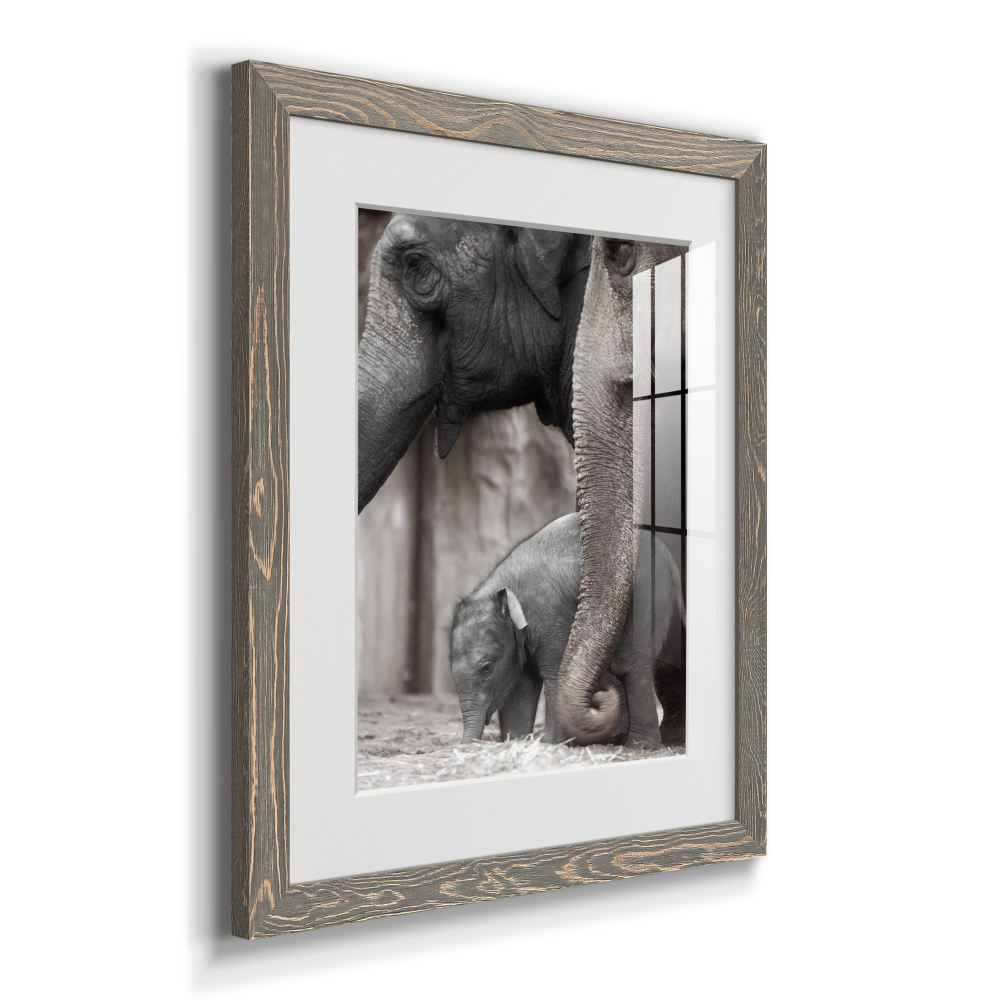 Family Moment - Barnwood Framed Art Print