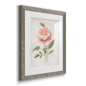 Grandiflora III - Barnwood Framed Art Print