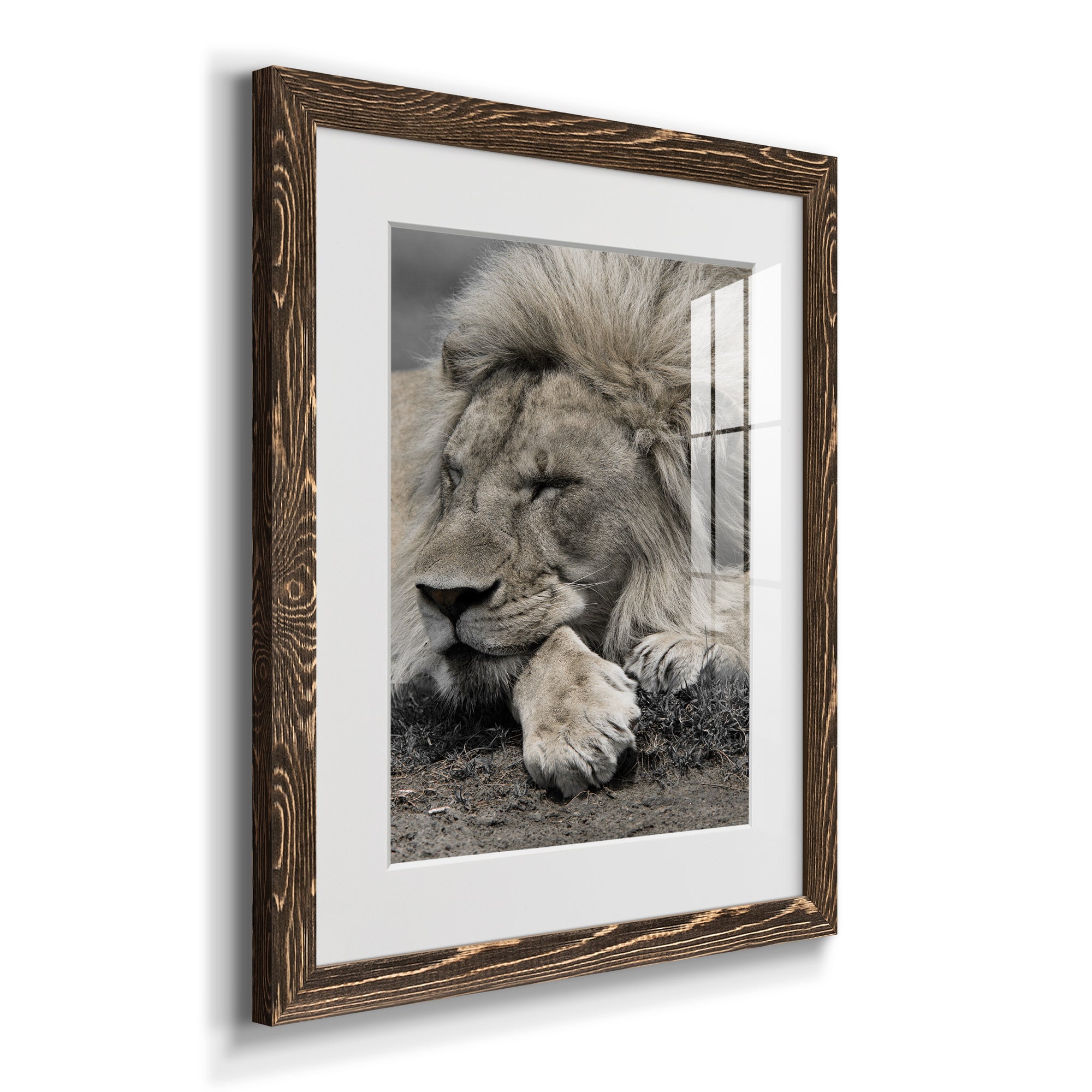 Sleepy Afternoon in Masai Mara - Barnwood Framed Art Print