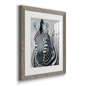 Namibia Zebra - Premium Framed Print - Distressed Barnwood Frame - Ready to Hang