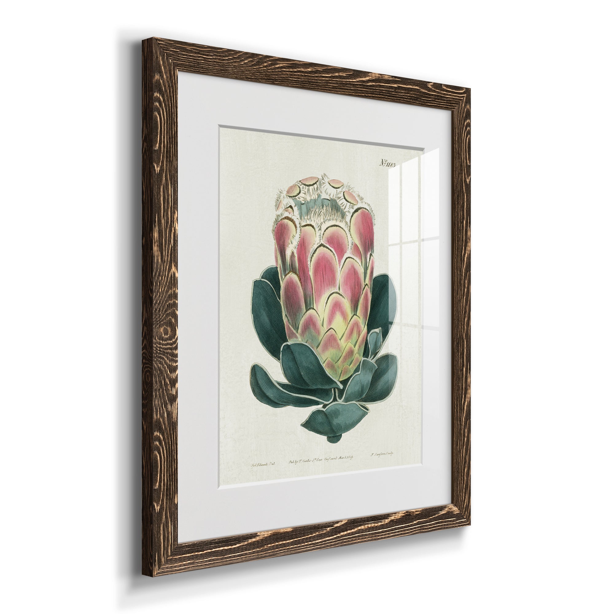Protea N83 - Barnwood Framed Art Print