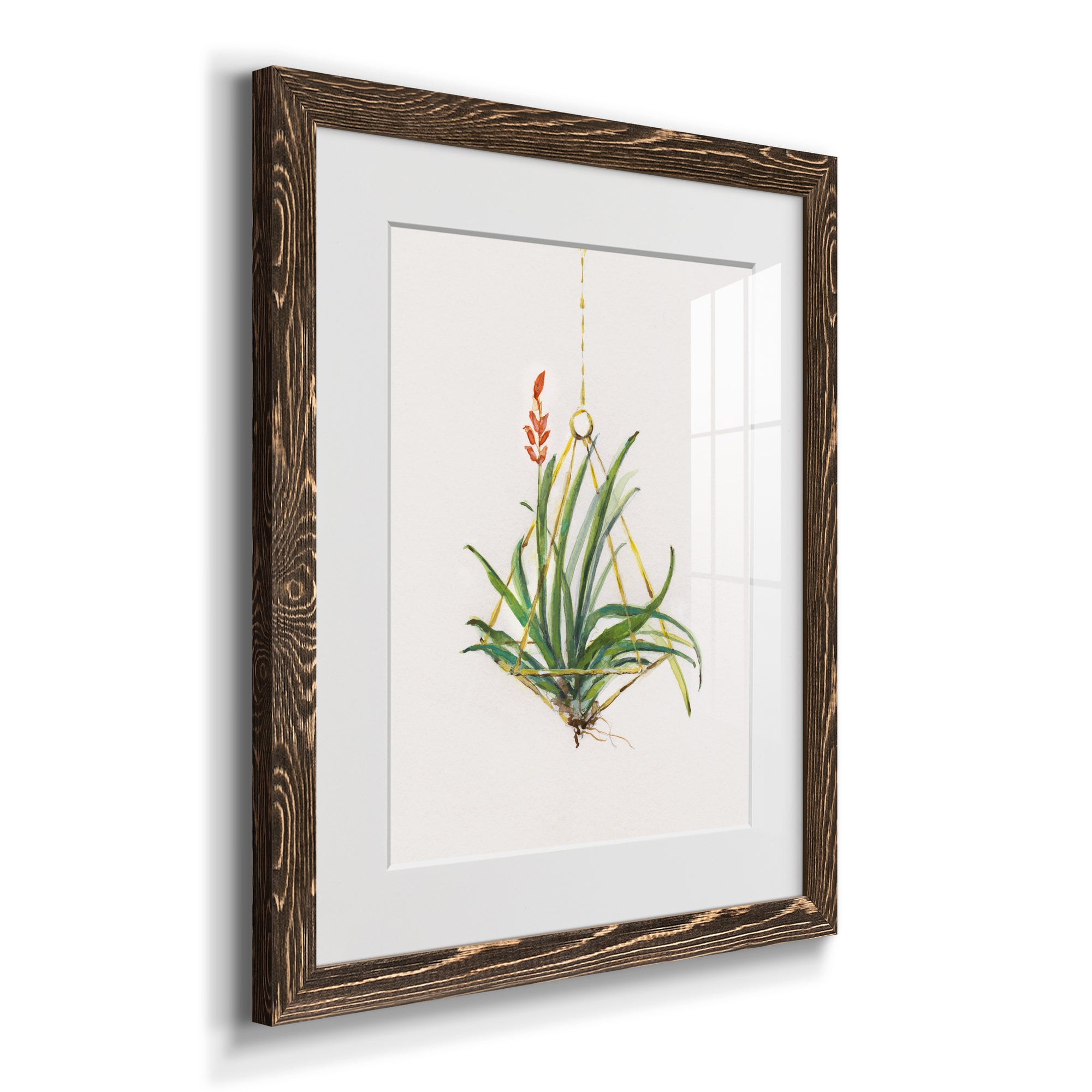 Gardenaire I - Barnwood Framed Art Print
