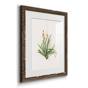 Gardenaire I - Barnwood Framed Art Print