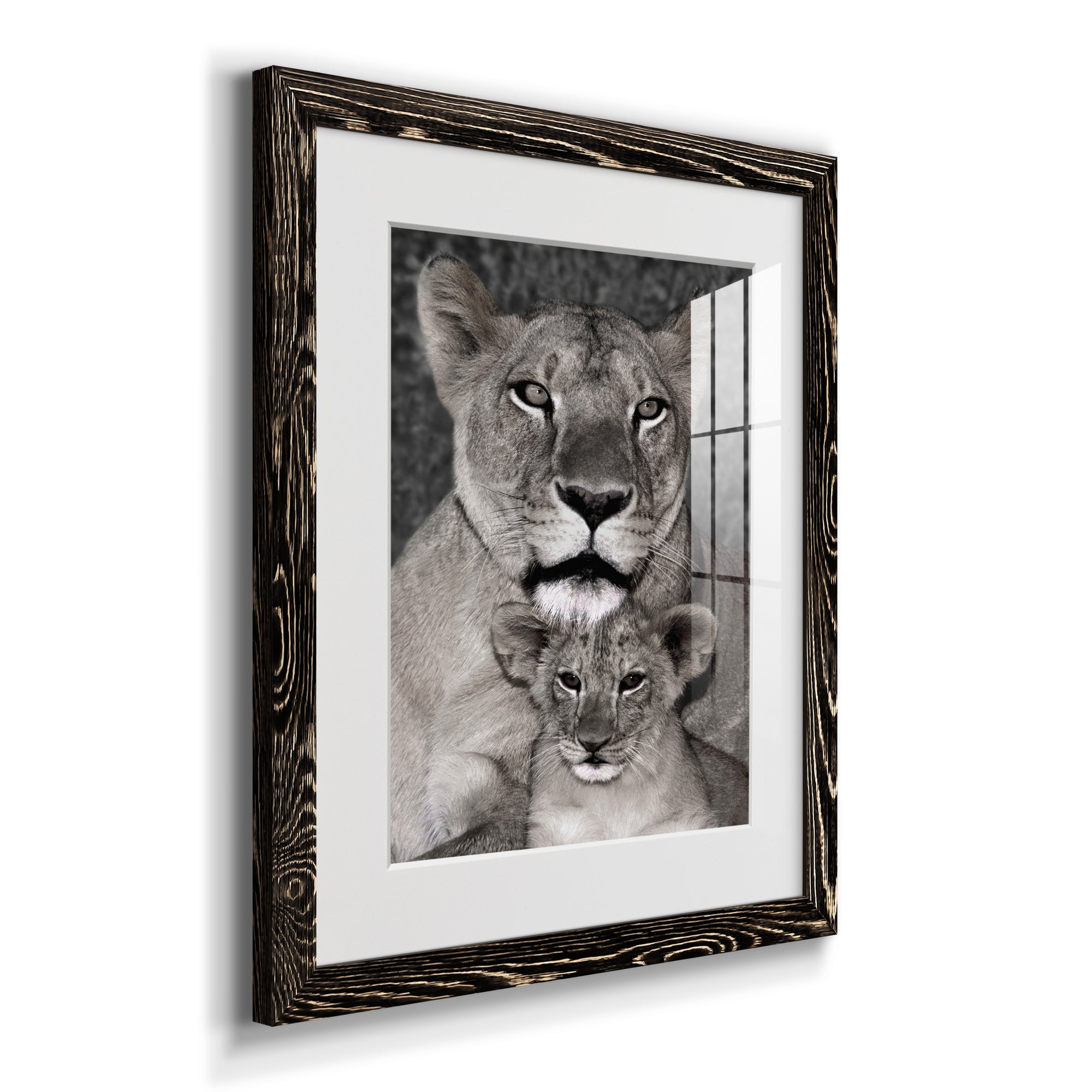 Lioness and Cub - Barnwood Framed Art Print