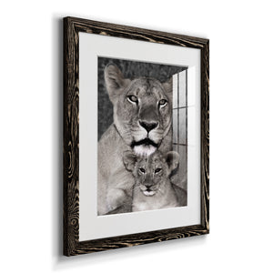 Lioness and Cub - Barnwood Framed Art Print