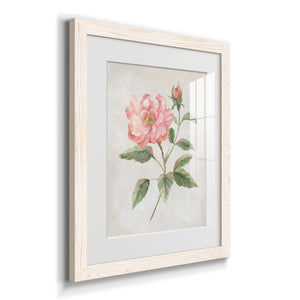 Grandiflora II - Barnwood Framed Art Print