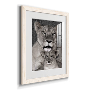Lioness and Cub - Barnwood Framed Art Print