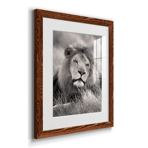 Pride of the Pride - Barnwood Framed Art Print