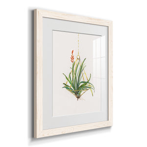 Gardenaire I - Barnwood Framed Art Print