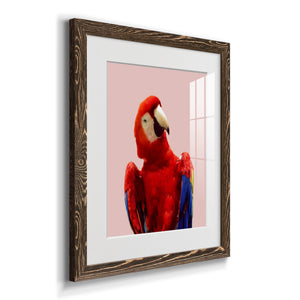 Honduras Wildlife - Barnwood