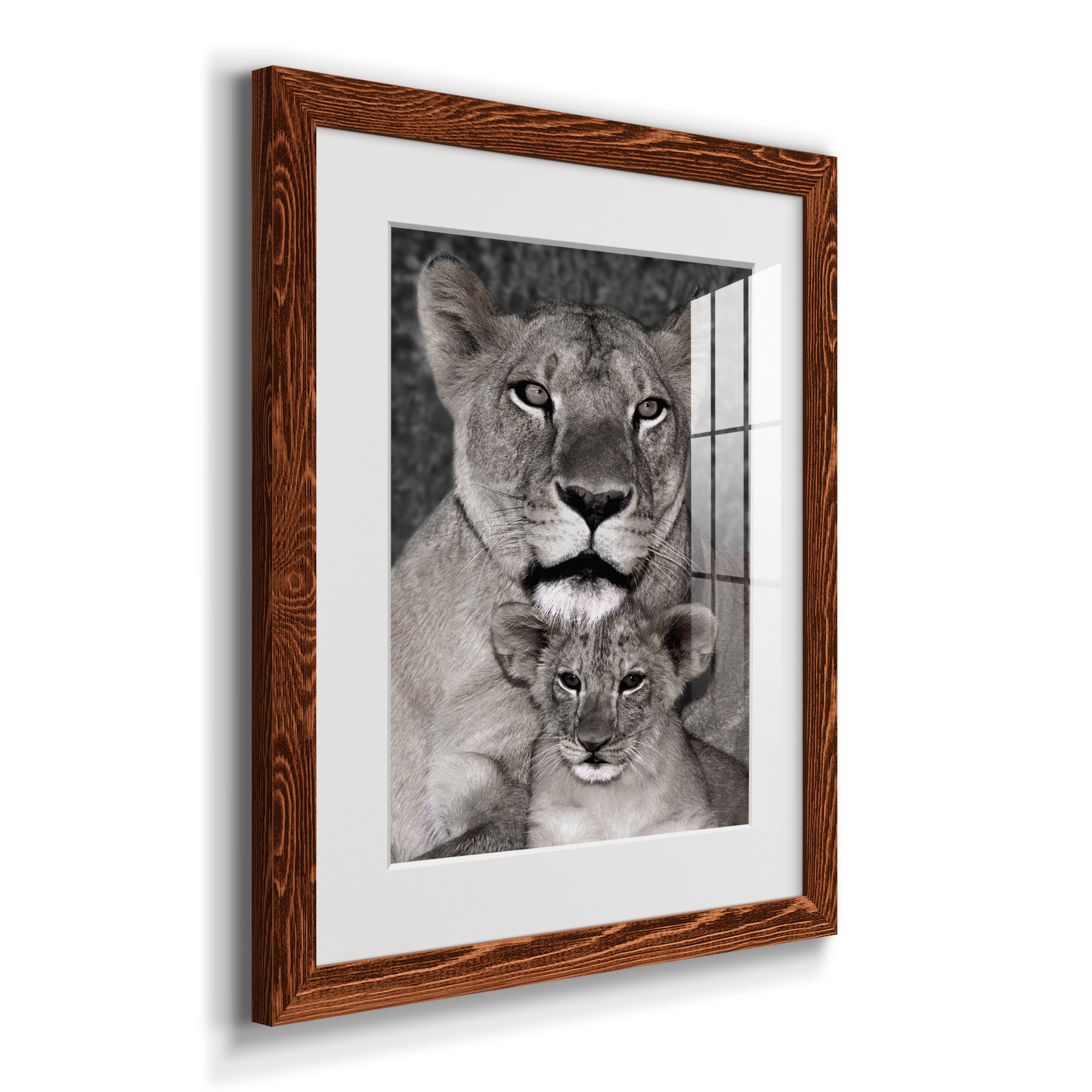 Lioness and Cub - Barnwood Framed Art Print