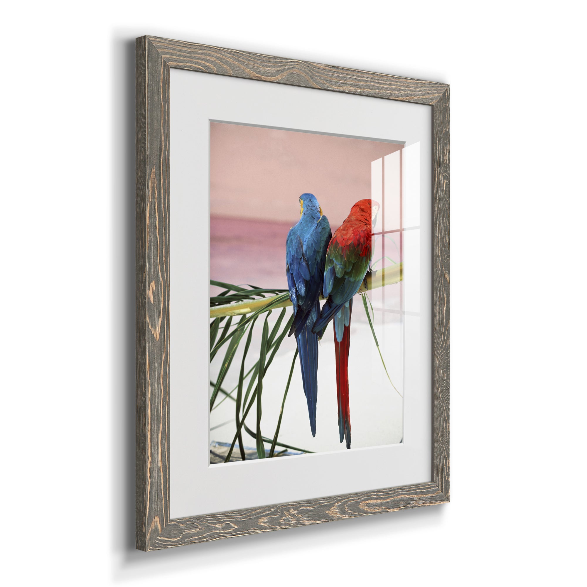 Palm Parrots - Barnwood