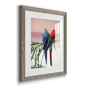 Palm Parrots - Barnwood