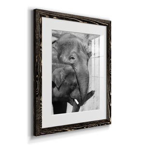 Tender Moment - Barnwood Framed Art Print