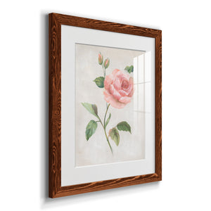 Grandiflora I - Barnwood Framed Art Print