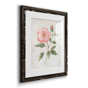 Grandiflora II - Barnwood Framed Art Print
