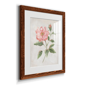 Grandiflora II - Barnwood Framed Art Print
