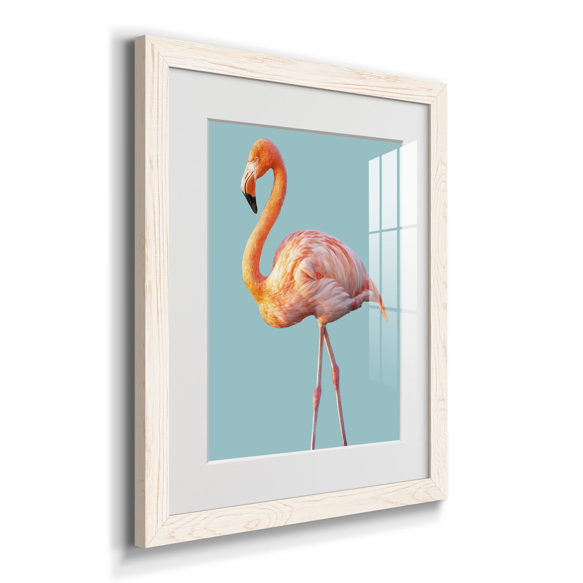 Flamingo - Barnwood